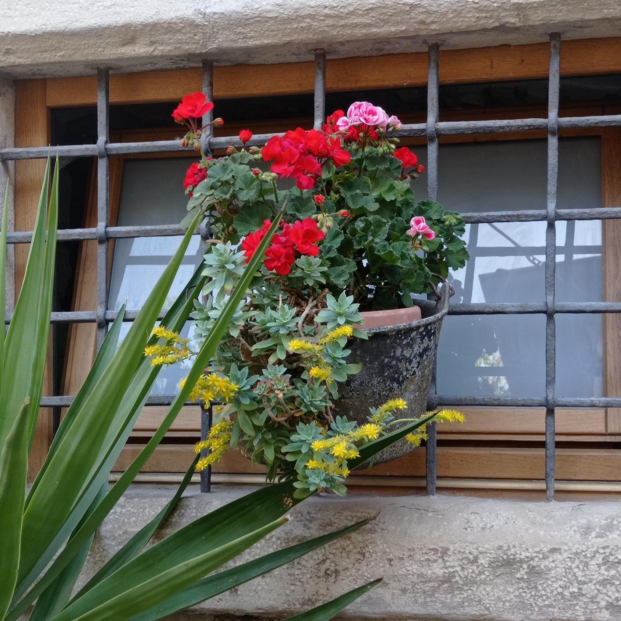 Casa Vacanza Gaia Costa di Mezzate 外观 照片